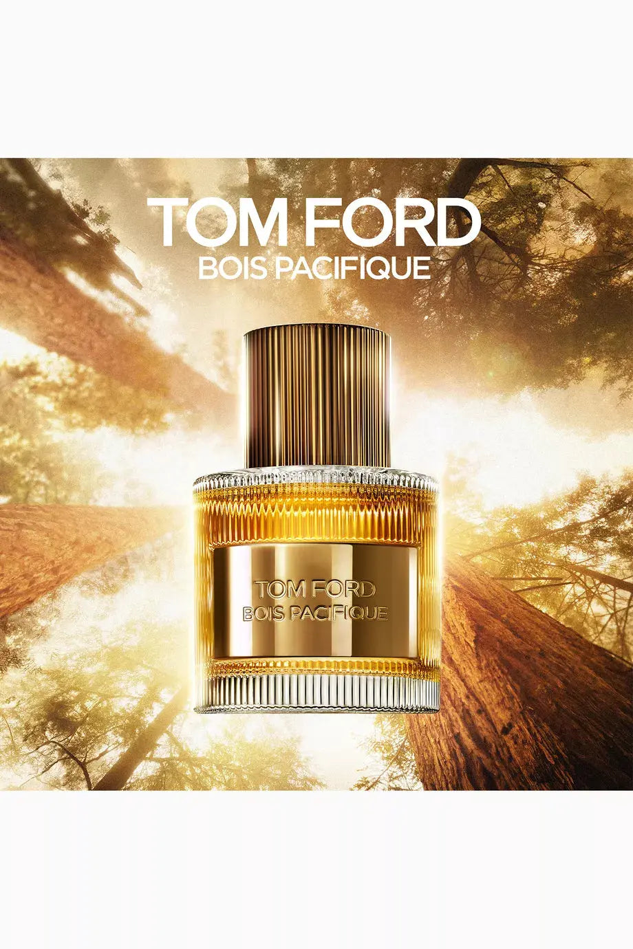 TOM FORD Bois Pacifique Eau de Parfum, 50ml-Al Reem Perfumes (The Perfume Qatar)